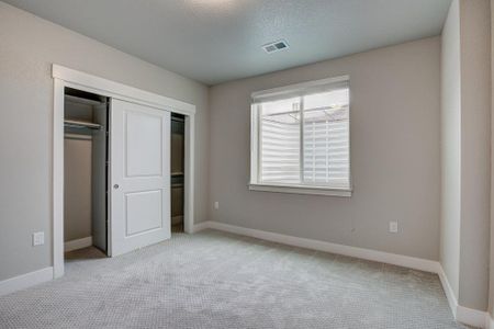 New construction Townhouse house 6248 Vernazza Way, Windsor, CO 80550 - photo 103 103