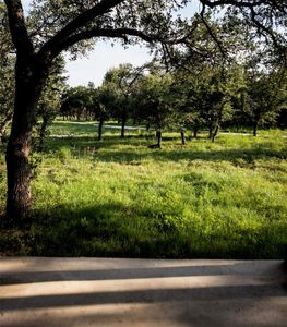 New construction Single-Family house 2531 Wayside Dr, Wimberley, TX 78676 - photo 23 23