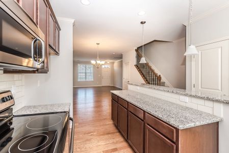 New construction Townhouse house 9514 Pointer Road, Charlotte, NC 28078 - photo 20 20