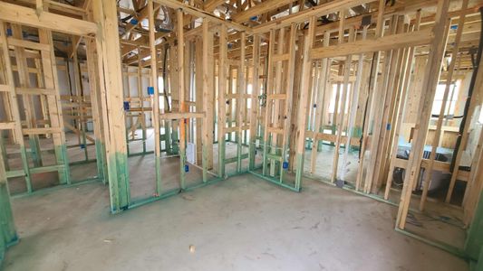 New construction Single-Family house 919 Palo Brea Loop, Hutto, TX 78634 Livingston Homeplan- photo 31 31