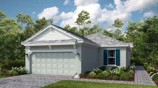 New construction Single-Family house 4684 Garofalo Road, Wesley Chapel, FL 33545 - photo 0 0