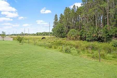 New construction Single-Family house 14519 Woodland Spur Drive, Lithia, FL 33547 - photo 32 32