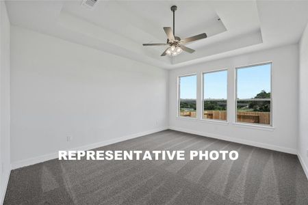 New construction Single-Family house 121 Golden Sage Ave, Georgetown, TX 78633 - photo 11 11