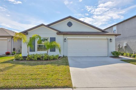 New construction Single-Family house 9316 Channing Hill Drive, Ruskin, FL 33573 - photo 0