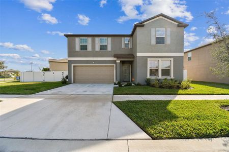 New construction Single-Family house 12893 Tripoli Avenue, Riverview, FL 33579 - photo