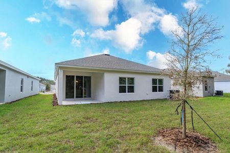 New construction Single-Family house 905 Chasetree Lane, Saint Cloud, FL 34771 - photo 26 26