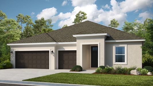 New construction Single-Family house 3402 James L Redman Parkway, Plant City, FL 33565 - photo 3 3