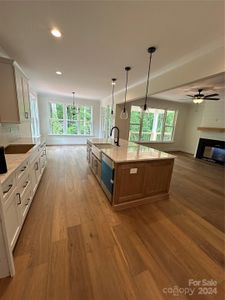 New construction Single-Family house 472 Bellingshire Drive, Mount Ulla, NC 28125 Bellingshire- photo 15 15