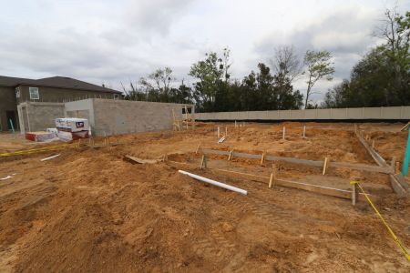 New construction Single-Family house 12078 Hilltop Farms Drive, Dade City, FL 33525 Mira Lago- photo