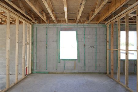 New construction Single-Family house 3077 Misty Marble Drive, Zephyrhills, FL 33540 Castellana- photo 15 15