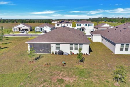 New construction Single-Family house 6906 Audobon Osprey Cove, Saint Cloud, FL 34773 - photo 3 3