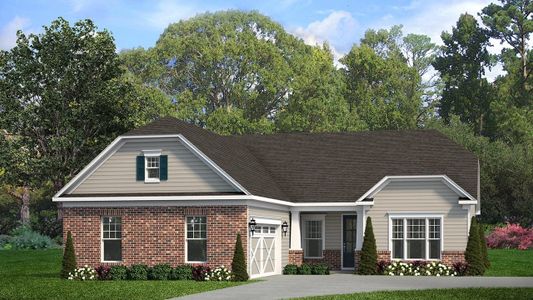 New construction Single-Family house Palm, 8913 Silver Springs Court, Charlotte, NC 28215 - photo