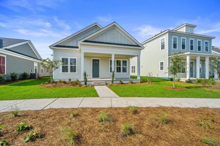 Nexton by Homes by Dickerson in Summerville - photo 7 7