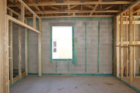 New construction Single-Family house 12114 Hilltop Farms Drive, Dade City, FL 33525 Alenza- photo 39 39