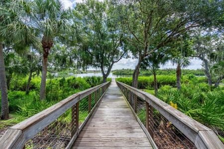 New construction Single-Family house 1529 Rio Vista Terrace, Parrish, FL 34219 - photo 18 18