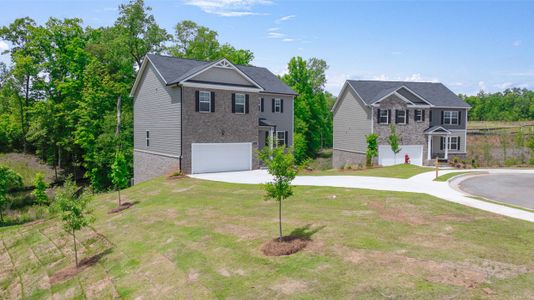 New construction Single-Family house 520 Vervain Drive, Locust Grove, GA 30248 Galen- photo 2 2