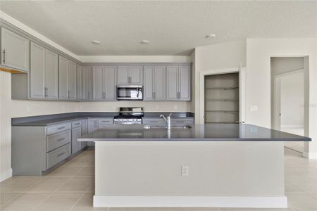 New construction Single-Family house 15936 Winding Bluff Drive, Montverde, FL 34756 - photo 8 8