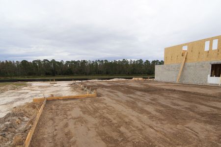 New construction Single-Family house 7795 Notched Pine Bend, Wesley Chapel, FL 33545 Sonoma II- photo 3 3