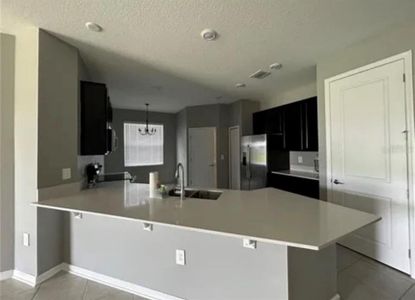 New construction Single-Family house 740 Citrus Reserve Boulevard, Davenport, FL 33837 - photo 7 7