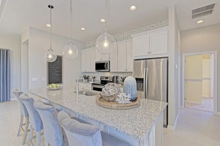 The Willows Single-Family Homes by Medallion Home in Parrish - photo 16 16