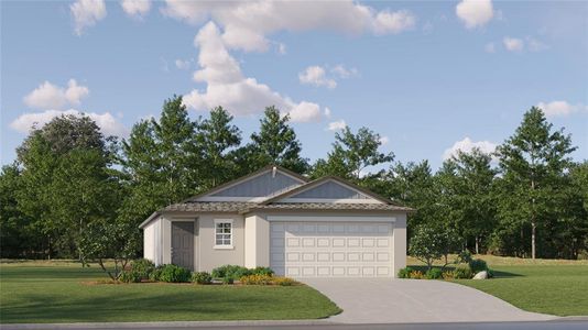 New construction Single-Family house 2703 Victorious Falls Avenue, Plant City, FL 33563 Annapolis- photo 0