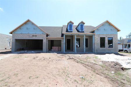 New construction Single-Family house 7529 Ashbrooke Pine Loop, Odessa, FL 33556 The Terraglen- photo 3 3