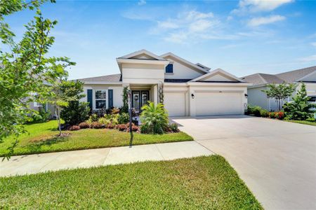 New construction Single-Family house 5995 Golden Nettle Drive, Apollo Beach, FL 33572 - photo 5 5