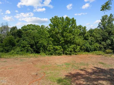 New construction Single-Family house 55 Sterling Drive Drive, Franklinton, NC 27525 - photo 34 34