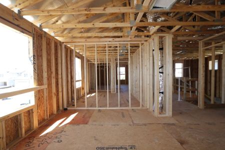 New construction Single-Family house 2463 Sunny Pebble Loop, Zephyrhills, FL 33540 Castellana- photo 34 34