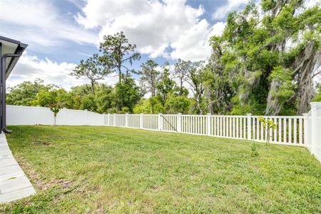 New construction Single-Family house 12971 Wildflower Meadow Drive, Riverview, FL 33579 - photo 46 46