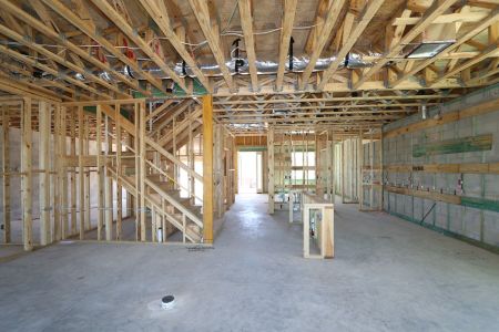 New construction Single-Family house 2522 Sunny Pebble Loop, Zephyrhills, FL 33540 Mira Lago- photo 61 61