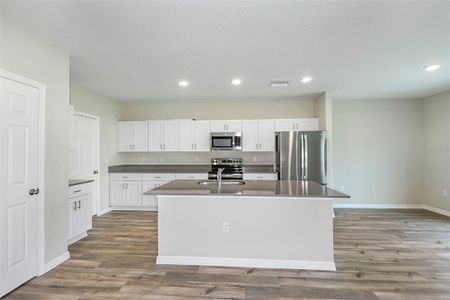 New construction Single-Family house 7729 Twin Leaf Terrace, Parrish, FL 34219 Azure- photo 3 3