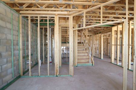 New construction Single-Family house 31835 Sapna Chime Drive, Wesley Chapel, FL 33545 Salinas- photo 20 20