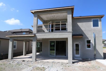 New construction Single-Family house 10734 New Morning Drive, Tampa, FL 33647 Sonoma II- photo 1 1