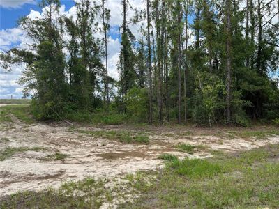 New construction Manufactured Home house 13690 Ne 10Th Street, Williston, FL 32696 - photo 39 39