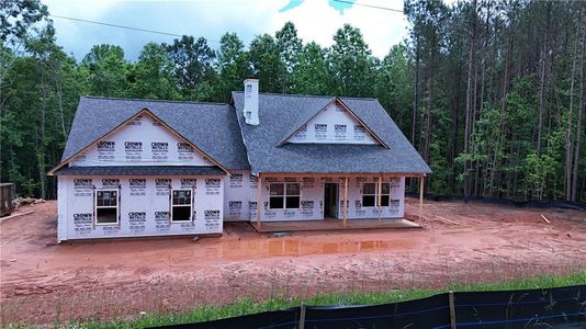 New construction Single-Family house 133 Goldin Rd., Temple, GA 30179 - photo 3 3