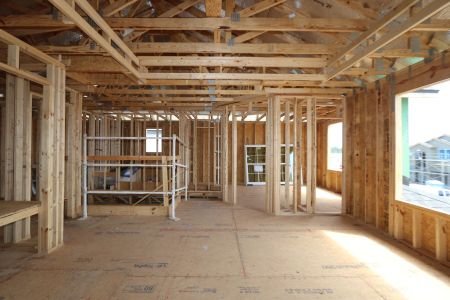 New construction Single-Family house 33251 Amling Pecan Branch, Wesley Chapel, FL 33545 Santa Monica- photo 33 33