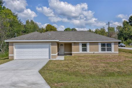 New construction Single-Family house 13899 Sw 89Th Street, Dunnellon, FL 34432 - photo 0