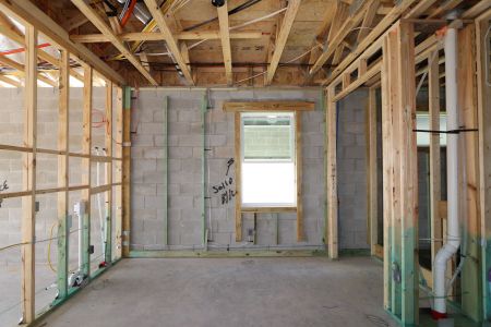 New construction Single-Family house 7783 Notched Pine Bend, Wesley Chapel, FL 33545 Corina II Bonus- photo 28 28