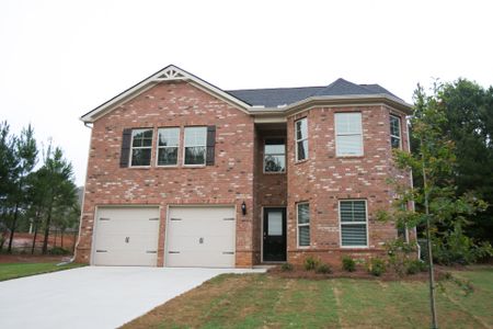 New construction Single-Family house Revolutionary Drive, Hampton, GA 30228 - photo 7 7