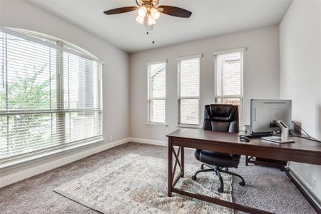 Carpeted office featuring ceiling fan and a healthy amount of sunlight