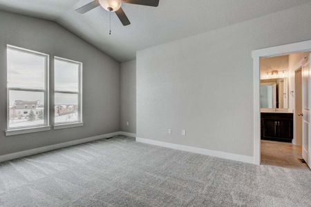 New construction Townhouse house 6248 Vernazza Way, Windsor, CO 80550 - photo 202 202