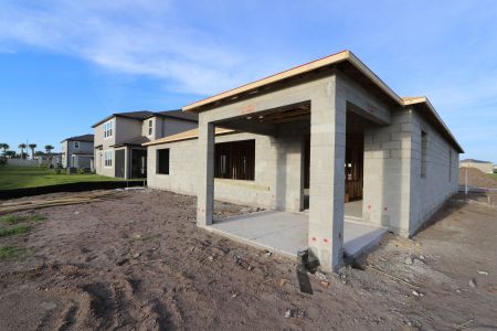 New construction Single-Family house 2941 Marine Grass Drive, Wimauma, FL 33598 Barcello- photo 7 7