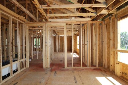 New construction Single-Family house 10634 New Morning Drive, Tampa, FL 33647 Grandshore II- photo 13 13