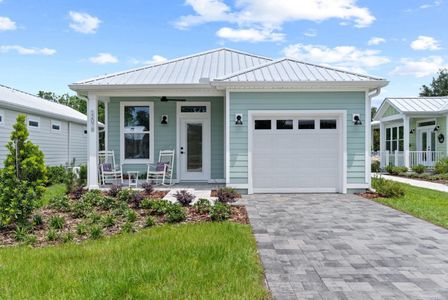 New construction Single-Family house 12176 Grand Oak Lane, Wildwood, FL 34484 - photo 0