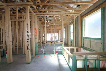 New construction Single-Family house 33224 Amling Pecan Branch, Wesley Chapel, FL 33545 Newport II- photo 29 29