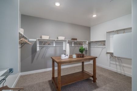 The Grove at El Cidro by William Ryan Homes in Goodyear - photo 42 42
