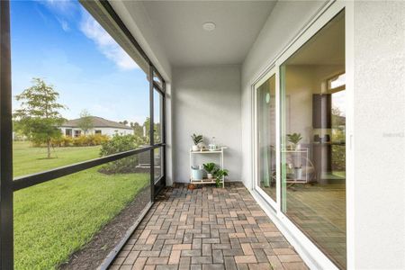 New construction Townhouse house 5637 Tripoli Drive, Palmetto, FL 34221 Alexander - Townhomes- photo 35 35