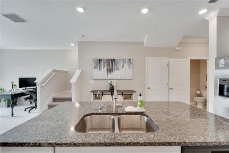 New construction Townhouse house 31990 Blue Passing Loop, Wesley Chapel, FL 33545 - photo 13 13