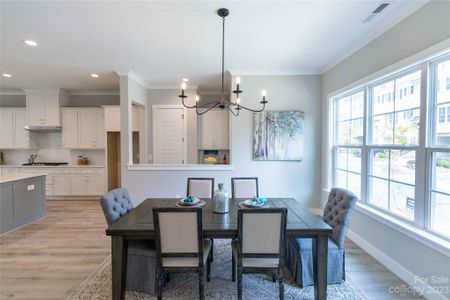 Summit at River Run by Peachtree Residential in Davidson - photo 18 18